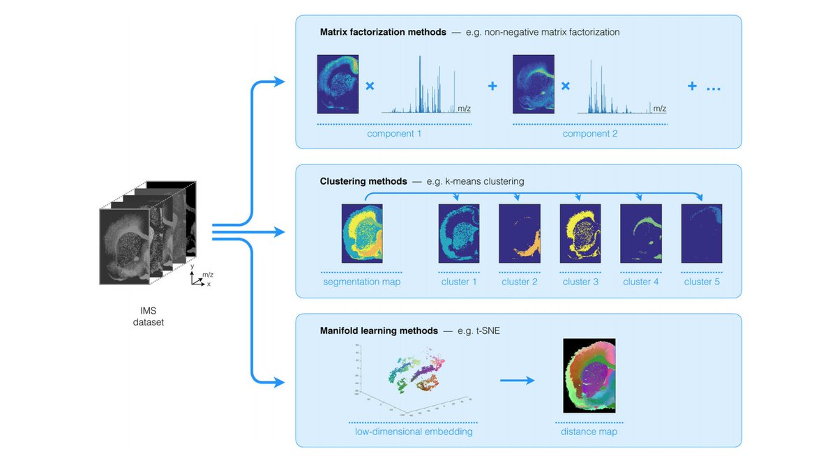 Find out more about unsupervised data analysis in #MSImaging in our new blog post at aspect-analytics.com/media/blog/202…. Also check out prof. Raf Van de Plas' talk at #ASMS2020 watch party on Thursday, who co-authored our review paper on the subject! #AI4MSI