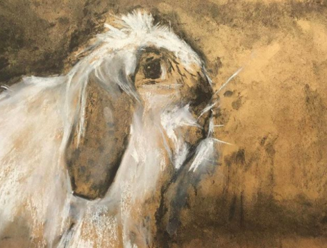 Draw_Brighton's tweet photo. A wonderful Rabbit study by Emma, as inspired by a March blog post on how to draw Rabbits by @LRichardsonart. To read this blog post in full, check out our #drawingfromhome series on the Draw blog:
https://t.co/zqCBL8pXqk https://t.co/qpG701TX9l
