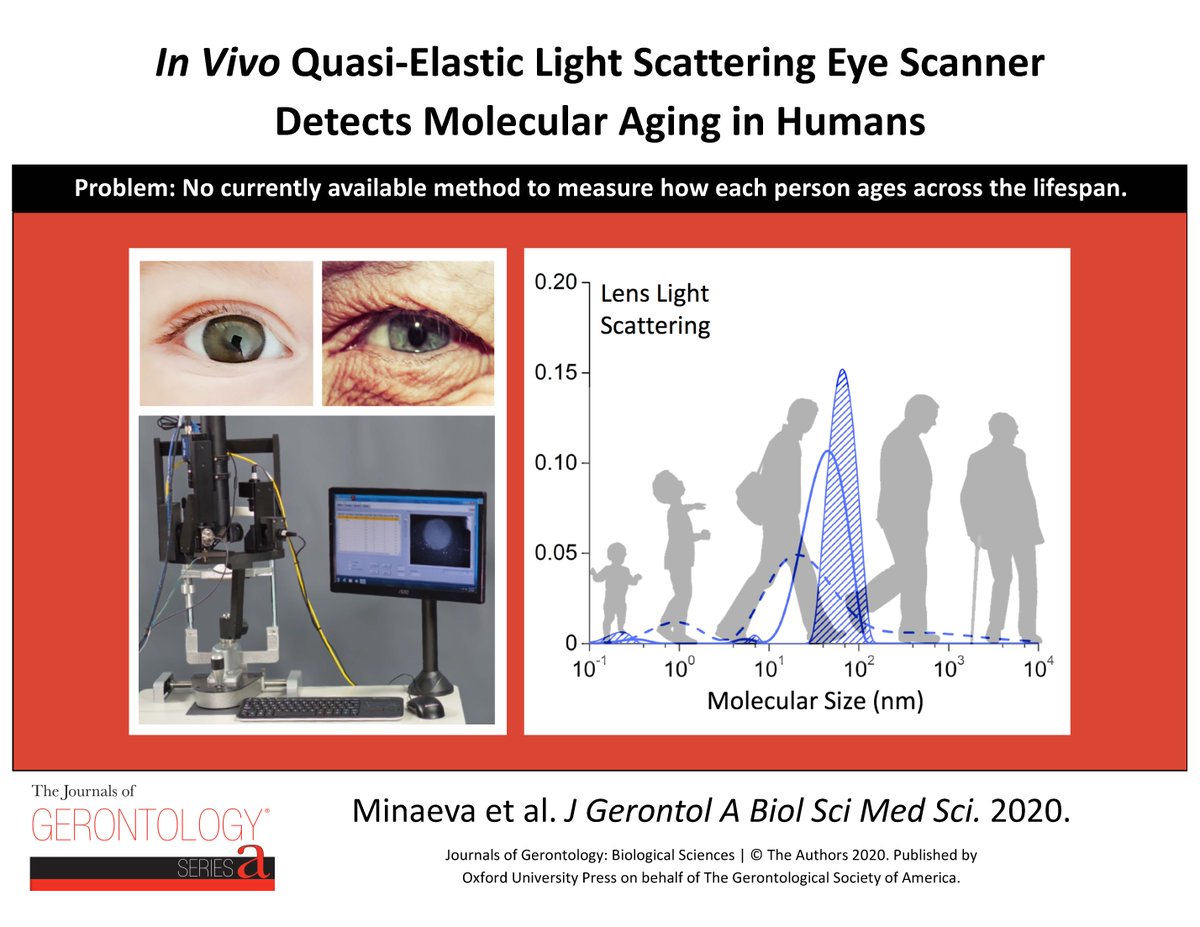 Gerontological Society of America (GSA) tweet media