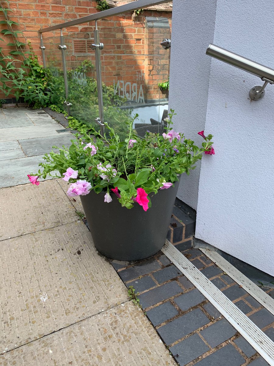 Bborn121's tweet photo. The Arden has finally been planted with the summer bedding ! And it looks brilliant !! @EdenMarketiers @ArdenHotel @theedengardener https://t.co/bUTEhN2m9l