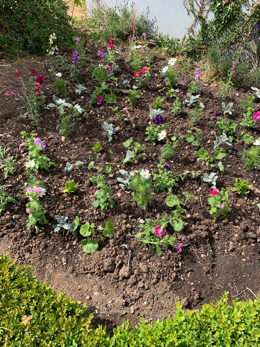 Bborn121's tweet photo. The Arden has finally been planted with the summer bedding ! And it looks brilliant !! @EdenMarketiers @ArdenHotel @theedengardener https://t.co/bUTEhN2m9l