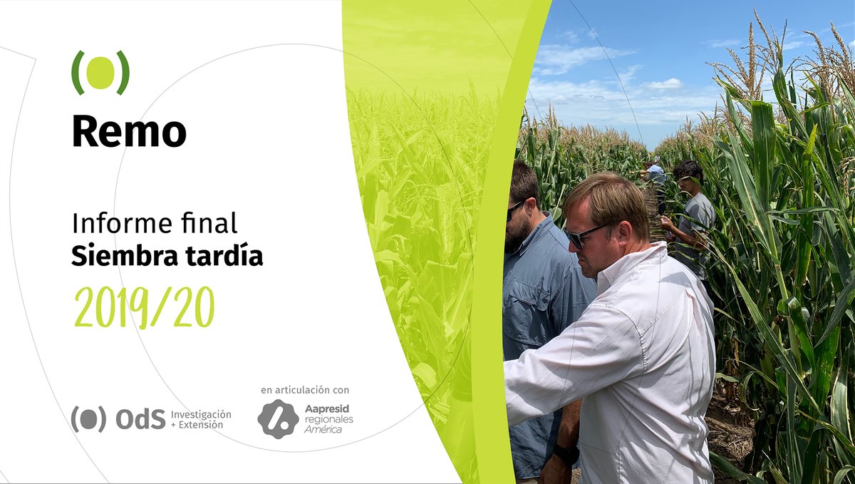 NUEVOS RESULTADOS #RemoODS 🌽

Si vas a hacer #siembra tardía de #maíz, tenés que consultar el informe de nuestra red de ensayos y chequear las mejores opciones de híbridos según tu ambiente. 

Descargalo acá 👉 bit.ly/siembratardíar…

#AgroDecisiones