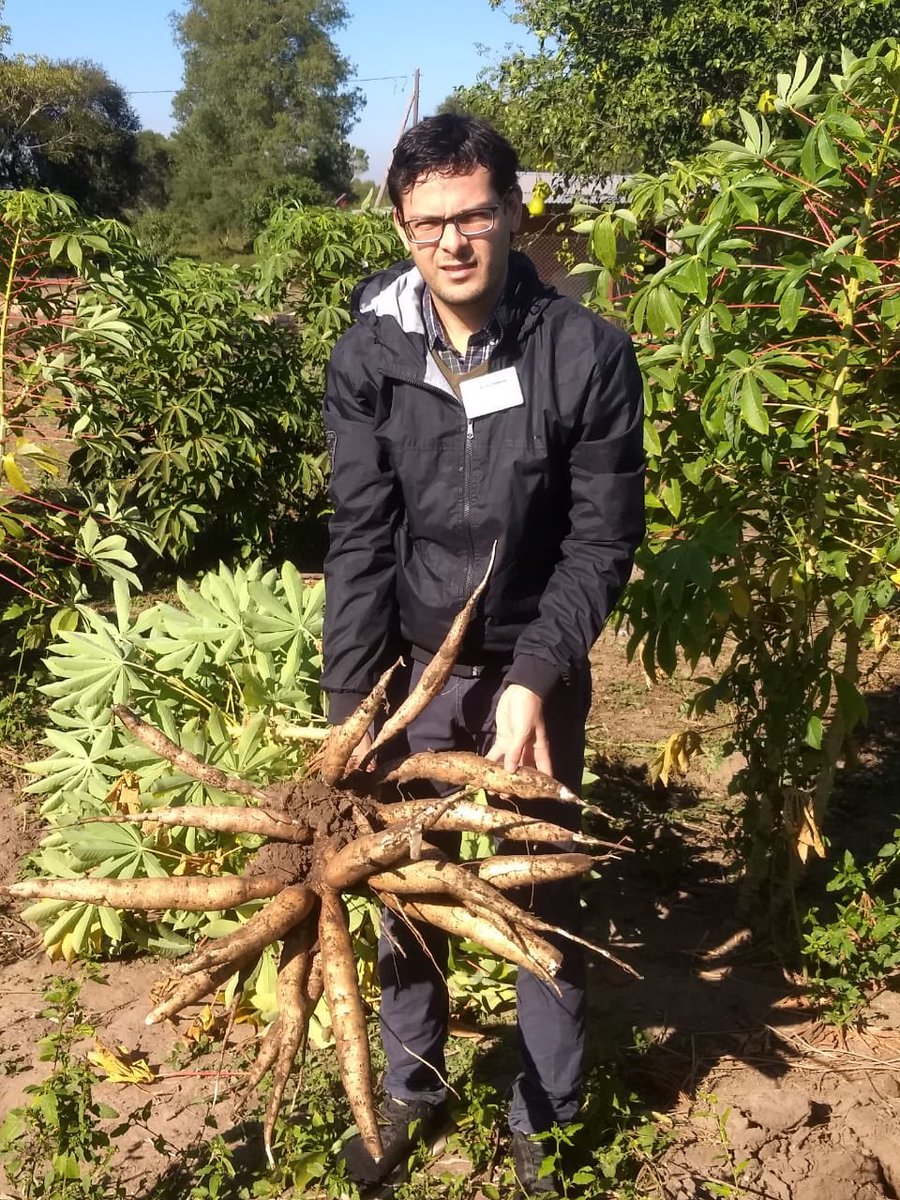Soberanía Alimentaria <a href="/jmcapitanich/">Jorge Capitanich</a> esta visión incluye el derecho de los pueblos para definir sus formas de producción, uso e intercambio de alimentos, implica también una “revolución agrícola” que conlleva a profundas transformaciones socioeconómicos y políticas <a href="/sergiomarozzi/">Sergio Marozzi</a>