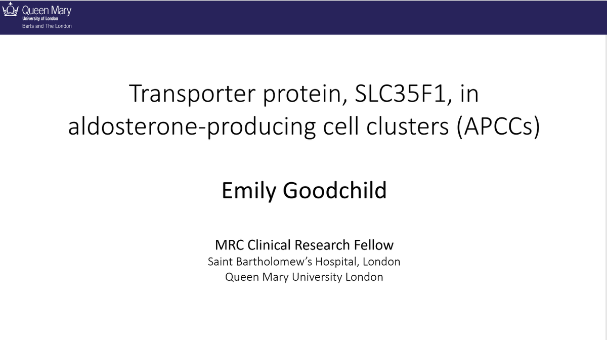 TheEndoSociety's tweet photo. Emily Goodchild, BMBS, BSc, is presenting on Expression of #SLC35F1 in the Plasma Membrane of Cells of #Aldosterone Producing Cell Clusters (#APCCs) and Its Possible Role in Aldosterone Synthesis. Share your questions on the #ENDOonline2020 platform: https://t.co/XV2Is5q4Qe https://t.co/n5xJueF7Pw