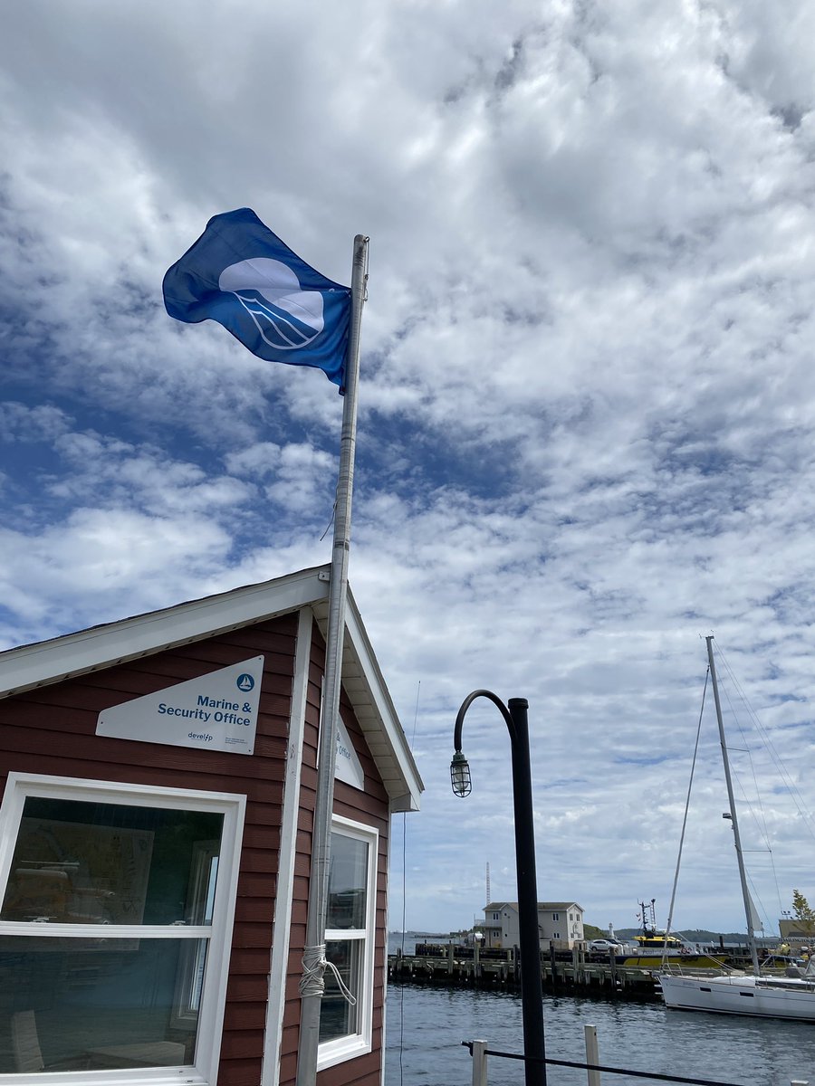 BuildNovaScotia's tweet photo. The 2020 blue flag is flying on the #Halifaxwaterfront! 

This designation is better known in Europe, but think of it as the Michelin Star of waterfront properties (and stay tuned for some fun facts about what it means to be a #blueflagmarina) #mywaterfront https://t.co/VbpLr9UKaL