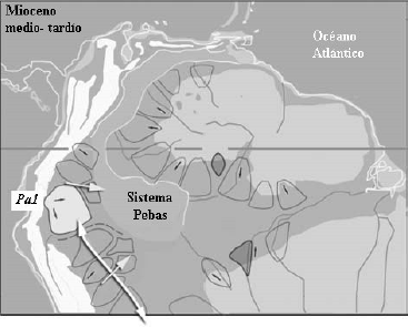 El desarrollo del Mega humedal Amazónico en el Mioceno (entre 16 y 8MaAP) es el proceso más importante en términos de dinámica paisajística Cenozoica y se deriva directamente de la geomorfología creada desde el Cretácico y el clima establecido en el interior de Suramérica.