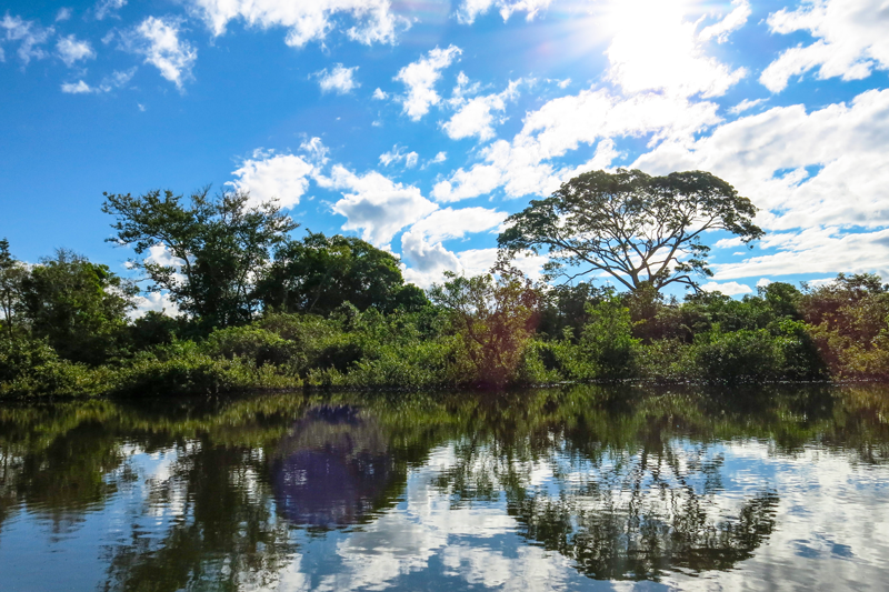 El Megahumedal amazónico del Mioceno fue uno de los paisajes humedales más grandes y longevos de la historia geológica. La evolución de este sistema deposicional fue controlada por el cambio global del nivel del mar, la subsidencia y un clima estacional húmedo o muyhúmedo.