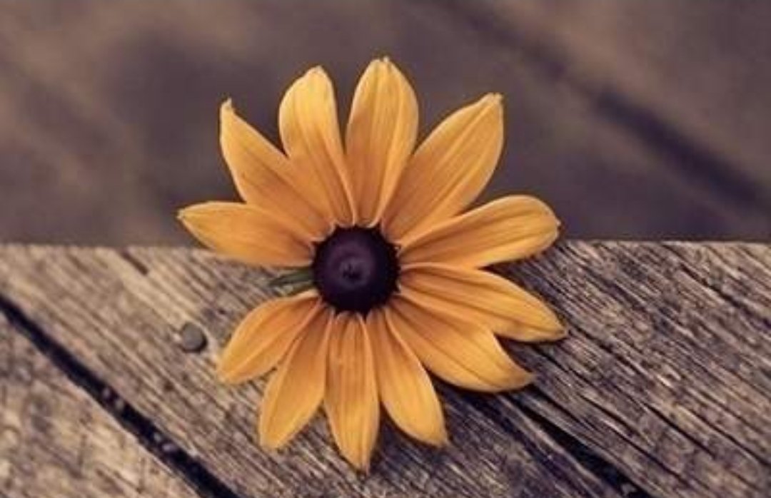 어떤일이든
마음대로되지
않을때가있다

그럴땐
그래도해보는거야
~*