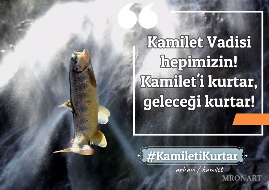 YYecep's tweet photo. Su yaşamdır. Yaşamı yok etmeyin
#kamiletikurtar https://t.co/ATiah1a1Vd