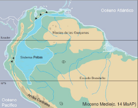 Al Norte estuvo unido al Caribe hasta el Mioceno Tardío lo que permitió el ingreso de organismos marinos en el drenaje Amazónico. El clima tropical se extendía entre las conexiones marinas de la Amazonía y los Llanos con la divisoria de drenaje del Arco del Purús y los cratones.