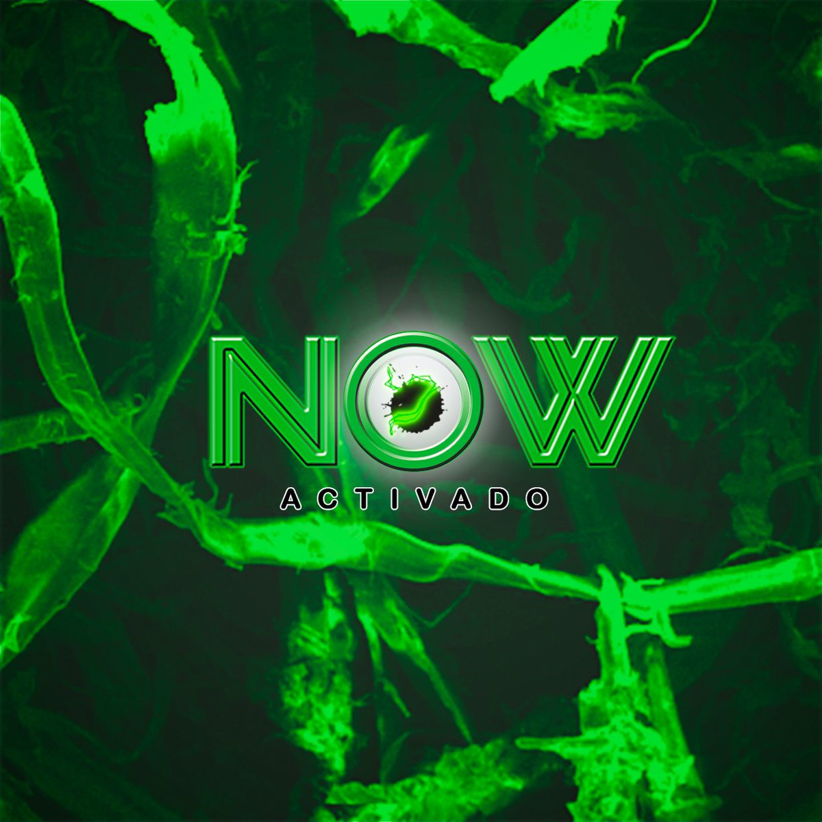 CFORERO5's tweet image. 