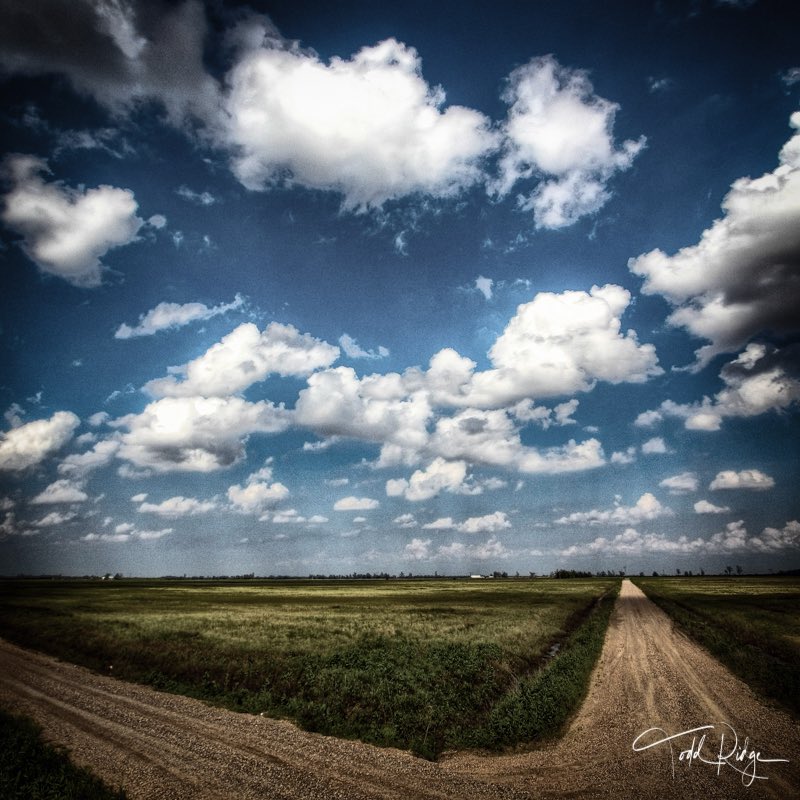 ToddRidgeArtist's tweet photo. Beautiful days and dirt roads go hand in hand. #rurallife #landscape #photographers #outinthecountry #wheatfield #farmland #countrysideandfarmlife #fields #canon #photography #dirtroadphotography #landscapephotography #pasture #rural #ruralliving #oldfarm #dirtroads #countrylife https://t.co/QS0H9ZBgFb