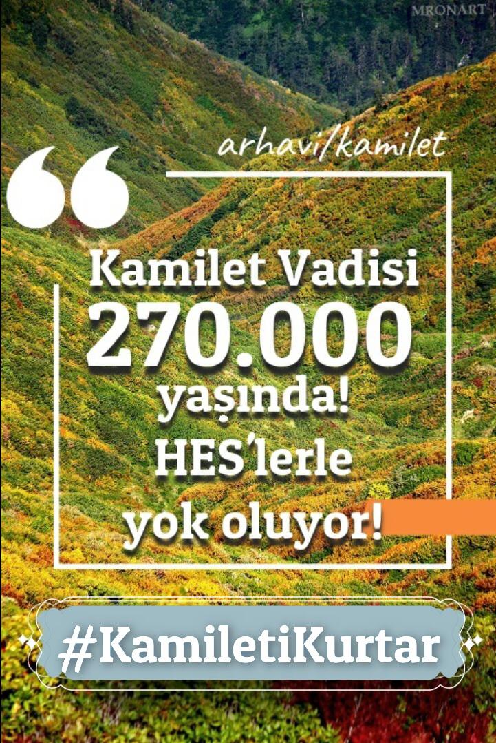 mereonart's tweet photo. Geleceğimizi yok ediyorlar.. #KamiletiKurtar https://t.co/e5fhjKjLCZ