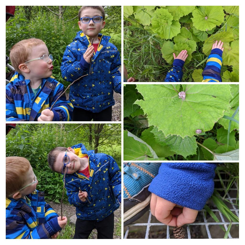 LauraCardwell83's tweet photo. @GiffnockNursery Euan and Fraser have really enjoyed this week's tasks. They found sticks and leaves bigger than their hands( spot the small snail on the leaf) and a very small pinecone thing 😂 https://t.co/j08nYdamAy