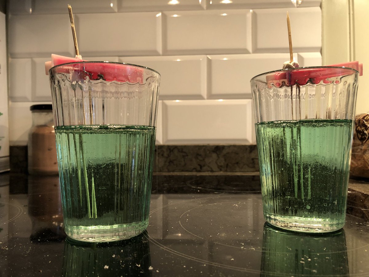 _PerPersson's tweet photo. My sons first crystal growth experiment... sugar on sticks- will report on the outcome in ~a week https://t.co/Nsci6q0xWZ