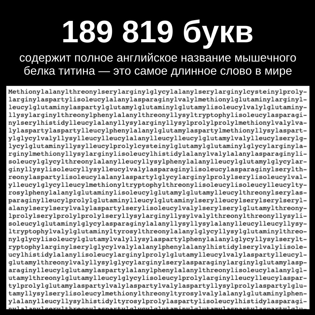 Включи большие слова. Самоп длиноп слово вмири. Длинные слова. Самое длинное слово. Самое длинное русское слово.