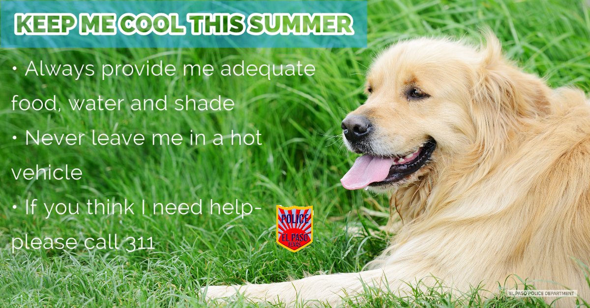 Please Remember Your Pets On These Summer Days