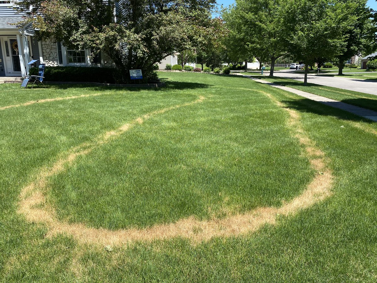 joesmed's tweet photo. @TruGreen this is what you do to my lawn then can’t return phone calls for 5 days! #notreallygreen #TruBrown #poorcustomerservice https://t.co/dXIFKmoHyc