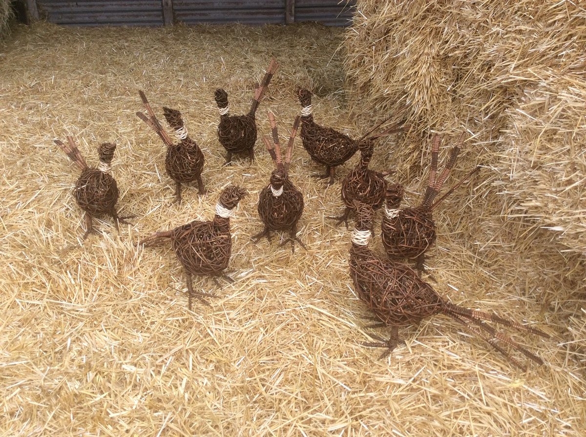 BictonCollege's tweet photo. You too could have a barn full of pheasants if you join our willow sculpting course at Bicton. These were created by the tutor Nicky Heal. To find out more https://t.co/W9TIEEFL3g 0330 123 2523 #willow #crafting #devontogether https://t.co/3le0uRxFNA
