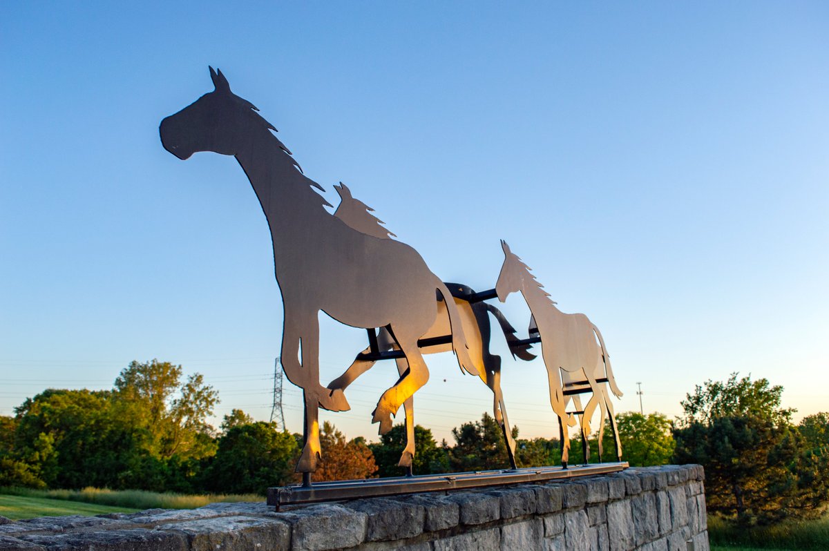 leessummitgo's tweet photo. The entrance to Longview Horse Park at #LongviewLake. Nearby's the Mouse Creek boat ramp, picnic area & dock. Want more? Walk the Longview Lake Trail or the Horse Trail. Find more Longview activities, including automated bike rental, at https://t.co/OhJP3dwZ6H @JacksonCountyMO https://t.co/hi8rkdXyTe