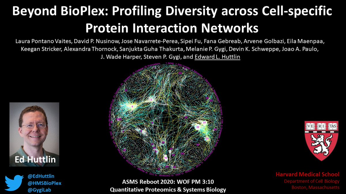 HMSBioPlex's tweet image. If you&apos;re interested in protein interactions, check out @EdHuttlin&apos;s talk at #ASMS2020 on @HMSBioPlex! See it on demand or during tomorrow&apos;s Quantitative Proteomics and Systems Biology watch party!