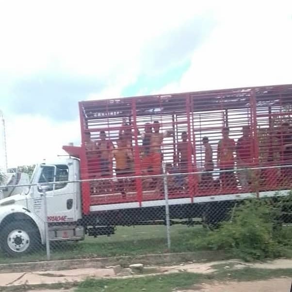 HablaCojedes's tweet photo. #09Jun|| Me hacen llegar estás fotos en la que en camiones de transporte de animales trasladan a los detenidos por violar la cuarentena al Comando de la Guardia Nacional en #Tinaquillo. Información vía el periodista Alexander Olvera.
#Noticias #Cojedes #RadioClass #HablaCojedes https://t.co/FtIz2a7sTK