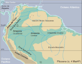 La influencia del mar duraría hasta el Plioceno a través de la actual Cuenca Amazónica. El paisaje sedimentario había variado, pero el sistema fluviomareal Acre siguió tragando sedimentos mientras se colmataba y daba lugar a una configuración casi por completo actual.