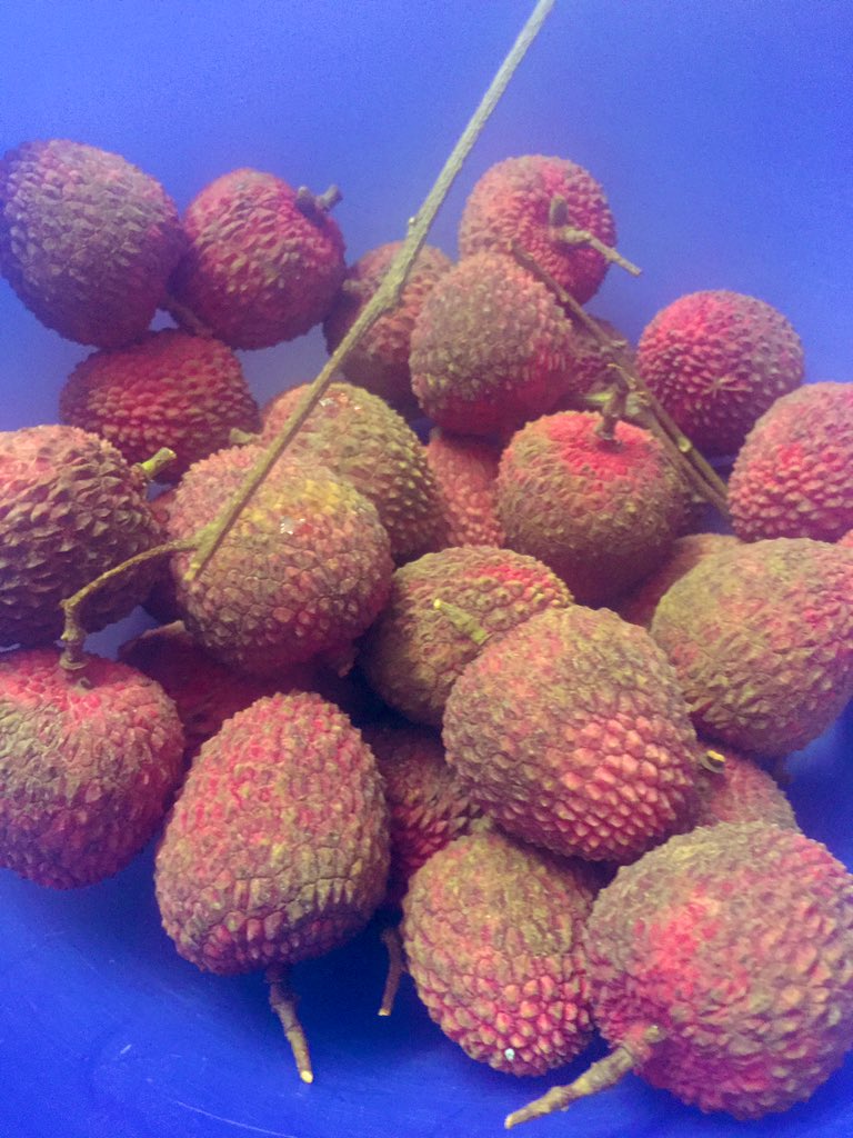 richasmukherjee's tweet photo. De-lichi-ous! Finally got my hands on these beauties. #slurp #halfgone #lichi #summerfruits https://t.co/rwsfQvSY0Y