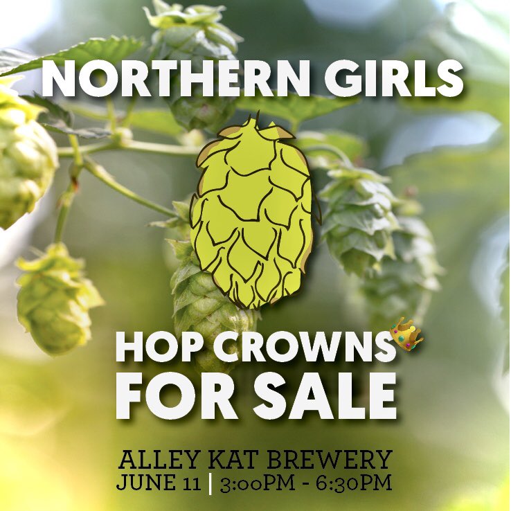 Alley Kat Brewing tweet media