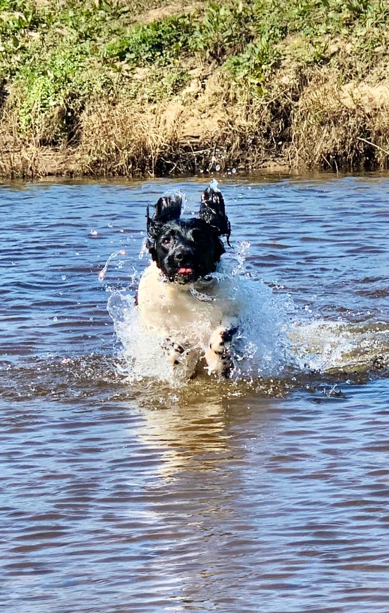 WoodspaWillow's tweet image. Day seventy seven, close to the #LittleCottageHouse . . . 

#AlwaysTakeTheWeatherWithYou 

#Lockdown