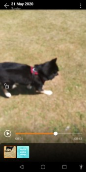 millypod1's tweet photo. 🆘4 JUNE 2020 ROXY #Lost #ScanMe 
YOUNG Black, Brown &amp; White Husky Cross Female 
#Scawsby #Doncaster #SouthYorkshire North East #DN5 https://t.co/htyZu0Knx9 https://t.co/QIlv9UIPuV