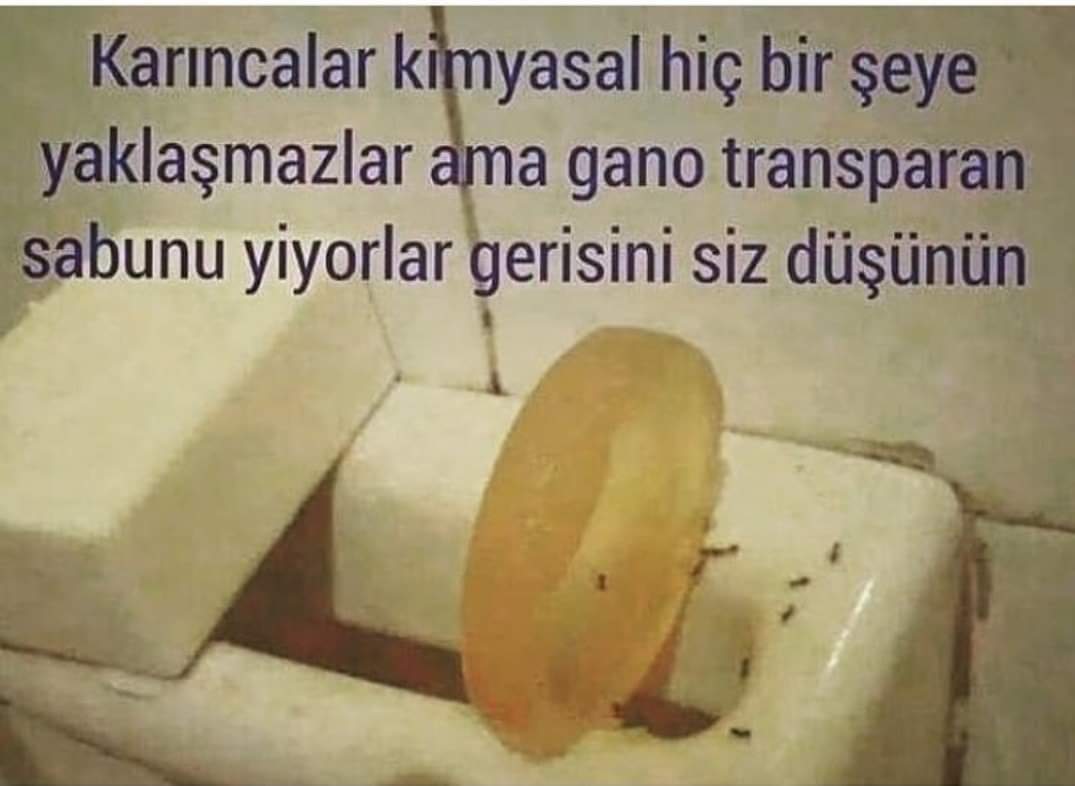 🍄 sipariş ve bilgi için dm 🍄
#izmirdeprem #AytacBaran #GeorgeFloyd #KabineYksLgsunutma #izmirdeprem #coronavirus #Covid_19 #JohnnyDepp #survivorpanorama #HalkNedenDiyor #lgs2020 #izmir #MemurSen25Yasinda #cumartesi