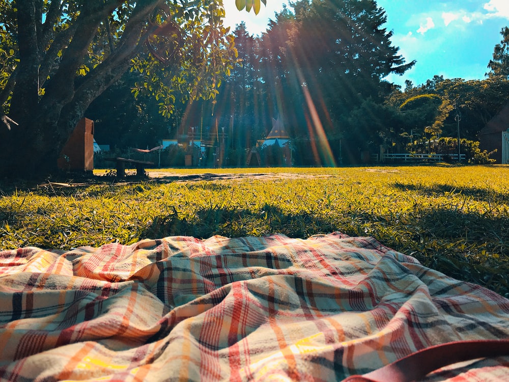 BadgersBeaver's tweet photo. Opening Picnic Info:

Tentatively we're planning to hold our opening picnic on August 15th at the Brady’s Run Ice Rink. Our picnic planning committee is working out logistics. Expect more details to come at the end of June, but we wanted to you pencil that date on your calendar. https://t.co/kmfkz0PZ3h