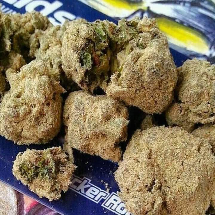 JacobRocker5's tweet image. Moonrock 
        Let's get high all day and nIghT  
        Jah bless the holy 🌲 of wisdom 
  #smokeweedeveryday 
#BlakeLivesMatter 
#RastafariJAMS 
#loveoneanother 
#PeacefulProtests