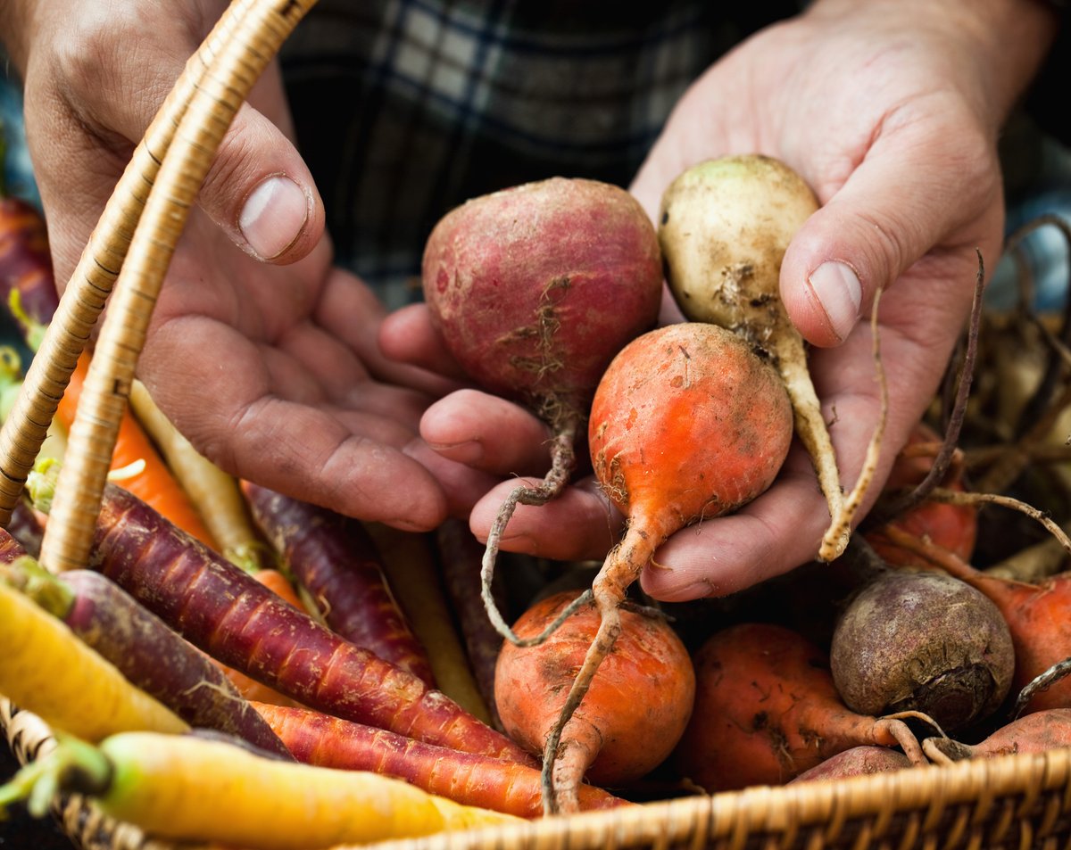 coopfarming's tweet photo. Beyond agriculture: Meet the primary producers making co-operative farming work. Emma Robinson from the Beef Collaboration Project Inc joins renowned ag journalist Pete Lewis and industry leaders in this great new series all about farmers. https://t.co/Z5guRepCm4 https://t.co/eUmCl2QXsi