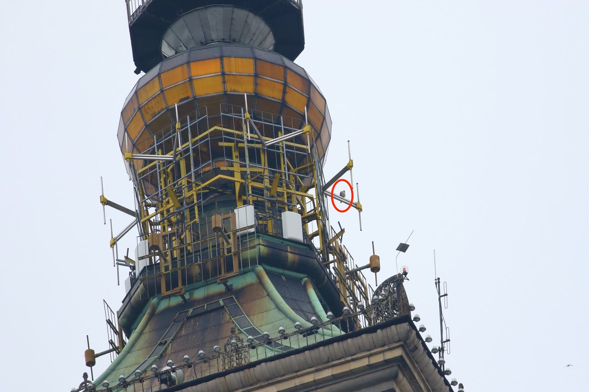 Bartosz Gott tweet media