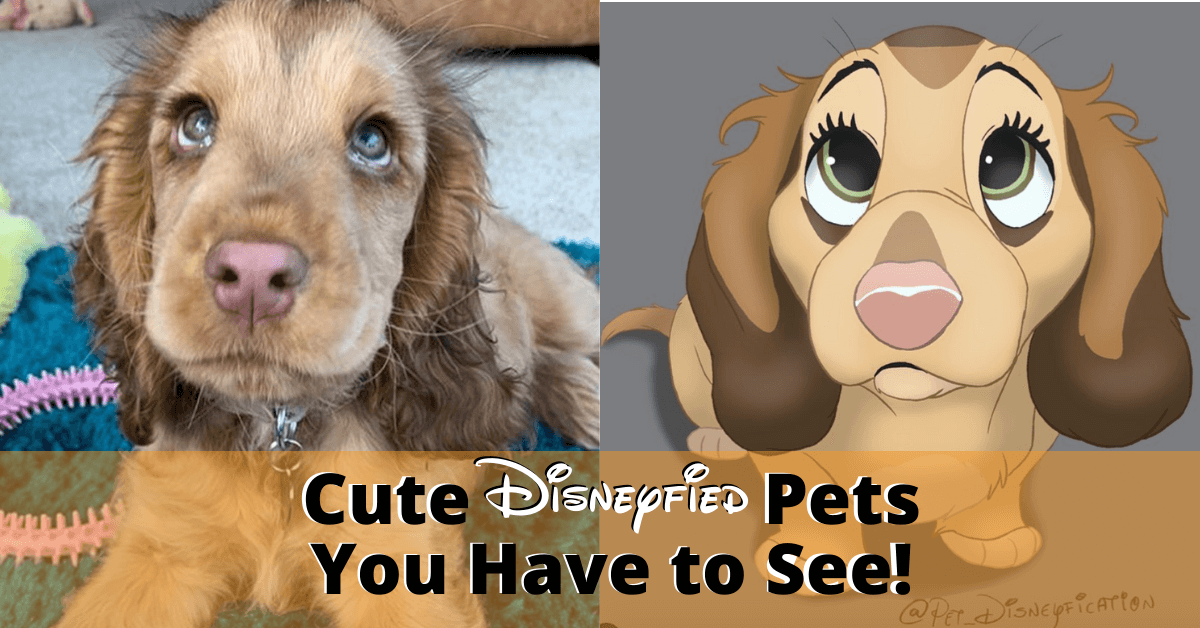Netherlands Artist 'Disneyfies' Pets and the Results Are Magical! | Inside the Magic---> bit.ly/2UnfuBh

#Disneyart #disneyfanart #Disneypets