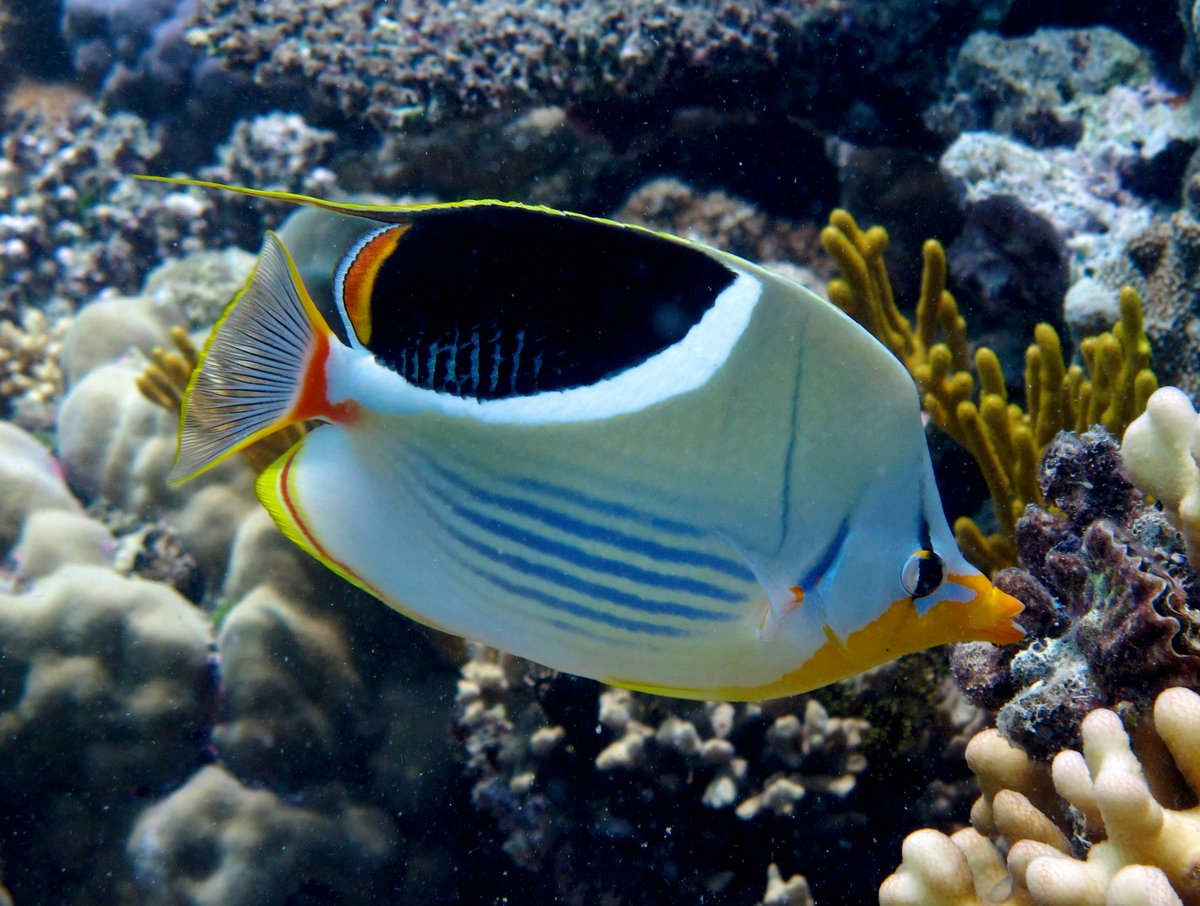 Dr Jordan Casey tweet media