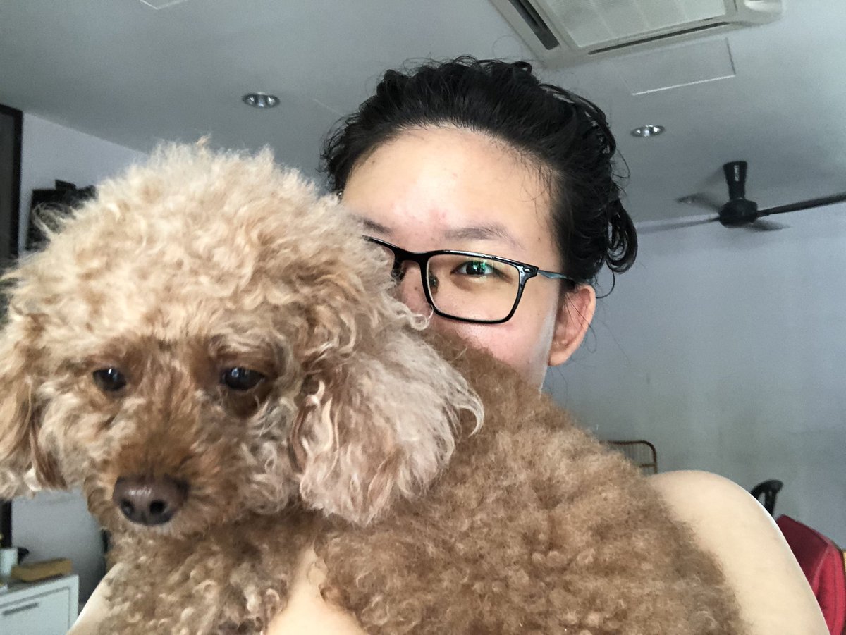 ShiHuangJing's tweet photo. 💛💛💛 https://t.co/NUmFRH6imb