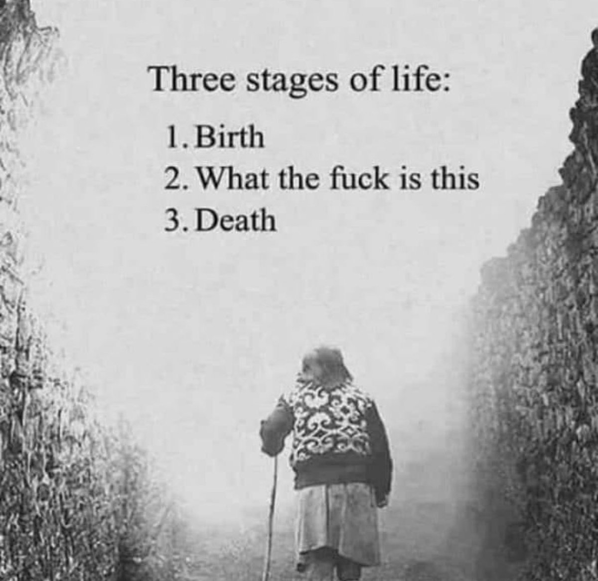 ElRanchoRelaxer's tweet photo. @NinjaWizard37 https://t.co/egZHN0qB0B