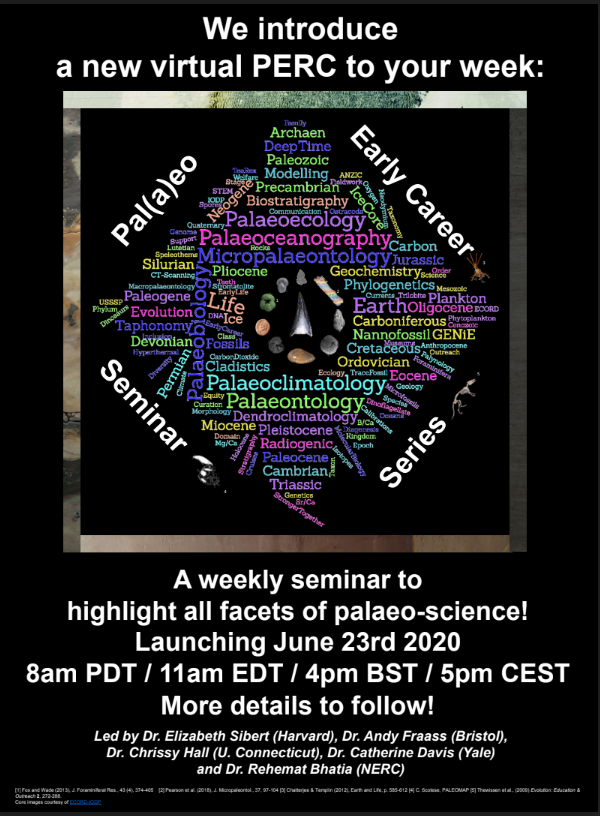 PalaeoPERCS's tweet photo. Coming soon to palaeo-world! 

We introduce a new virtual PERC to your week, starting June 23rd 2020. 

Watch this space for more details...

#PalaeoPERCS https://t.co/bsB3SSOr8f