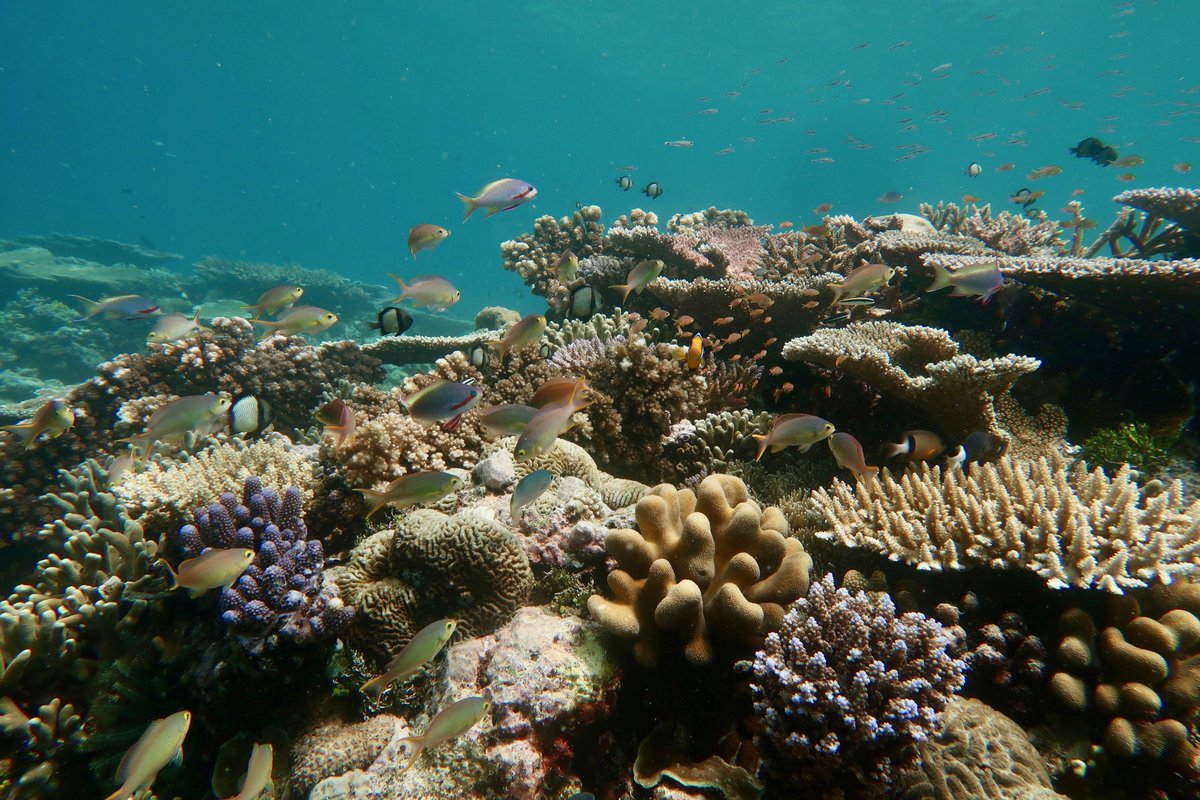 Dr Jordan Casey tweet media