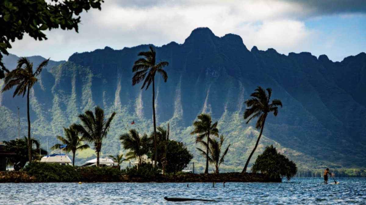 ShorehamRC's tweet photo. ALOHA HAWAII! 🌴🌴 We’ve only gone and won leg 2 of the CARA Trans-Pacific Challenge! Time to enjoy some (virtual) cocktails in the (virtual) tropical breeze 🍹🍹🍹 #CARAPacificChallenge @BritishRowing @TheWaveRowing https://t.co/OZDN9NJgYw