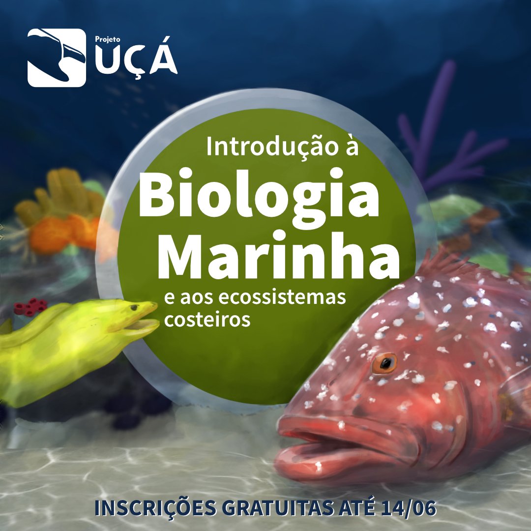 projetouca_'s tweet photo. Pensaram que as surpresas já tinham acabado? O Projeto Uçá oferece mais um curso à distância para vocês… E melhor: GRATUITO!
#curso #gratuito #biologia #biologiamarinha #meioambiente #educacaoambiental #educacao #projetouca #petrobras #inovacaosocial #energiaparatransformar https://t.co/QEI4ZFR5FU