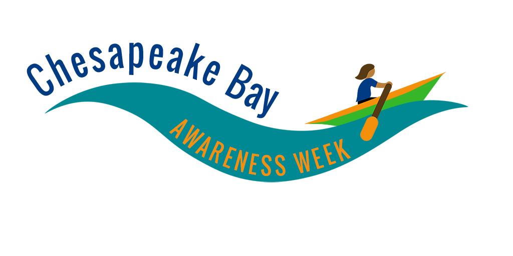 Chesapeake #BayAwarenessWeek is a time to celebrate the cultures, history and natural beauty of the nation’s largest estuary. Discover your connection to the Bay by attending one of these virtual events. chesapeakebay.net/action/attend #OneChesapeake #FindYourRiver