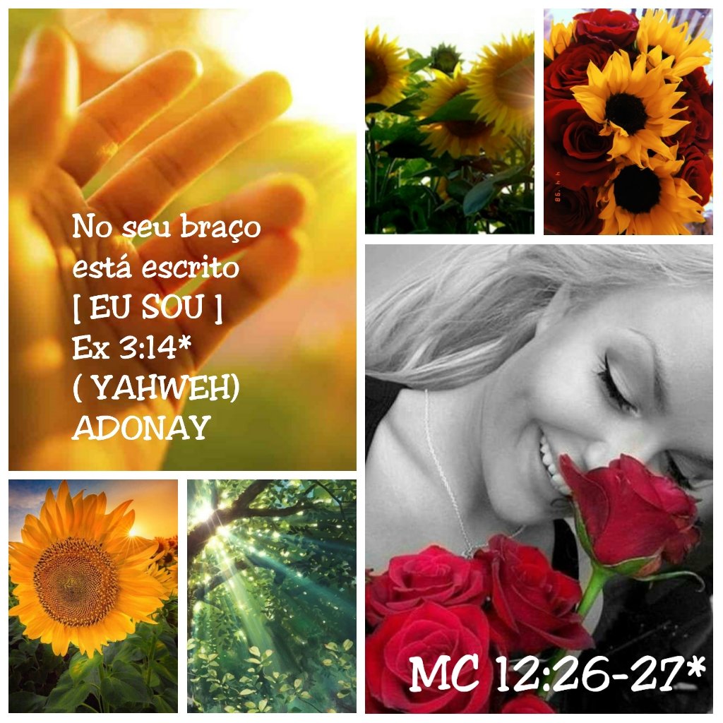 RosaMar14112784's tweet photo. #Maanaim #HojeOpçãoPorDeus
És tu dos nossos, ou dos nossos inimigos?
E disse ele: Não, mas venho agora como príncipe do exército do SENHOR *Js5:13-15; Ex14:19-20 #ExércitoDoSenhor #DiaFavorável #HojeJesus @Rozane_Costa #CARDÁPIOBÍBLICO #soupertençadEle https://t.co/NC6LeCB6aZ
