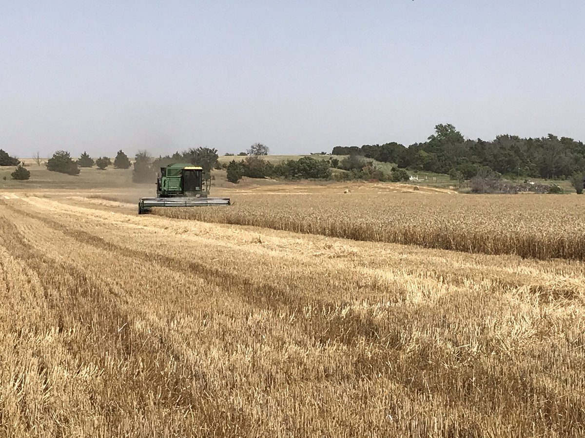 John Pfeiffer tweet media