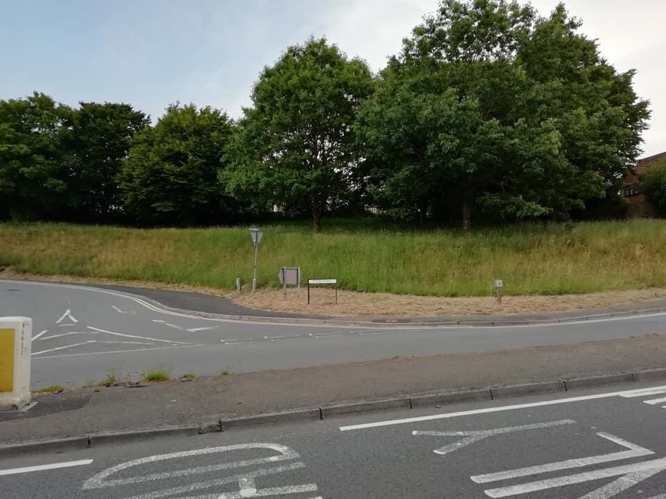 Success on leaving verges long thanks to the Biodiversity Officer at <a href="/NewportCouncil/">Newport City Council</a> identifying suitable areas in Rogerstone. NCC will only cut the sight lines around the entrance to Ruskin Avenue and will collect arisings at the end of the summer. Good news for 🐝, 🦋 and 🦗