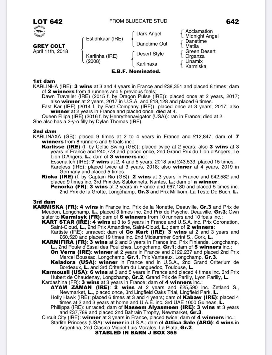 Estidhkaar @TaraStud recorded his 1st winner today and he is represented by Scalene in the 7f 2yo maiden @kemptonparkrace tomorrow. Bred by @Bluegatestud who bred today’s @LeopardstownRC LW Ten Year Ticket, Scalene is 1/2 to 2 winners & was sold @tatts_ireland Sept Yearling