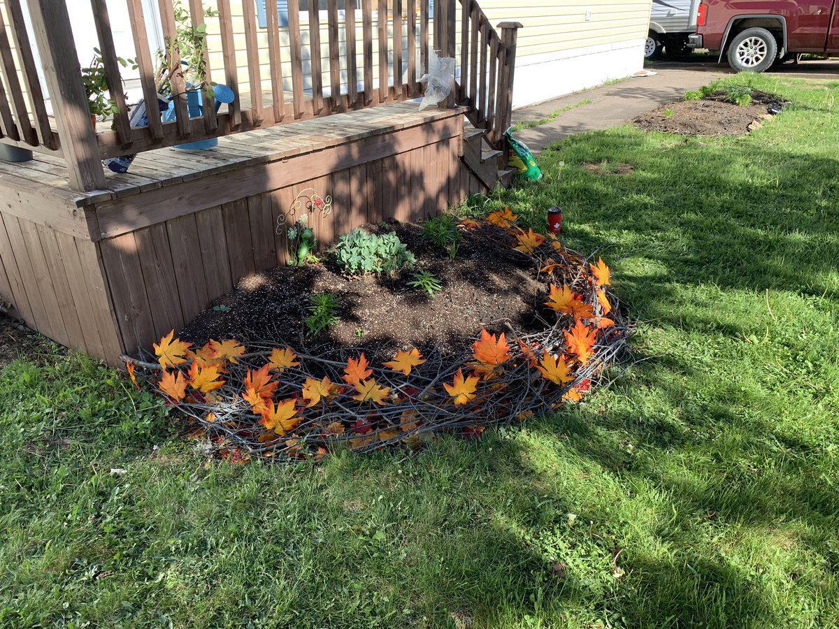 DSimms72's tweet photo. Birds nest flower bed garden border is done 😍😍. This is going to look spectacular when it’s fully blooming! #birdsnests #gardeningismytherapy #gardendesign #repurposedwood #monctonnb https://t.co/8zOWbnCMyx